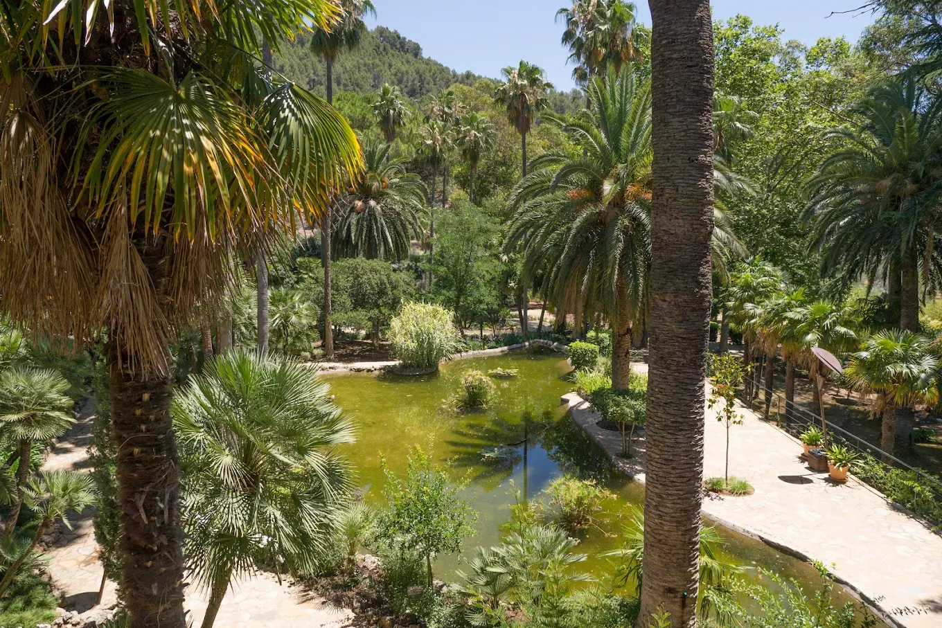 Jardines de Alfabia Mallorca