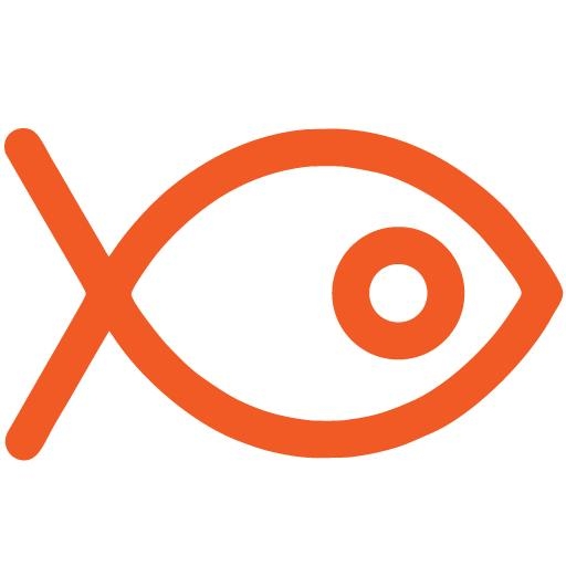 Attraction Catamarans Mallorca