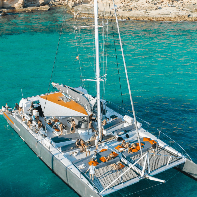 Attraction Catamarans Mallorca