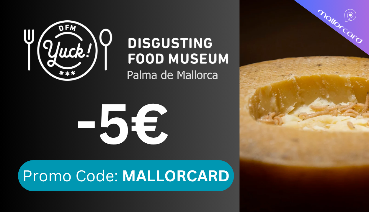 Is the Disgusting Food Museum Palma de Mallorca Worth Visiting?