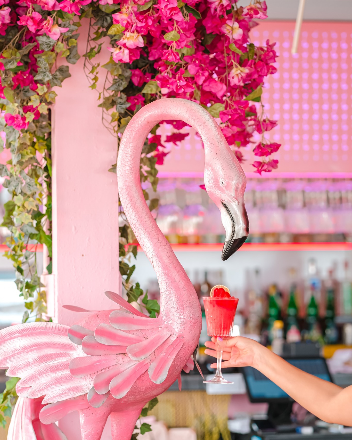 Bonito Kitchen & Cocktails