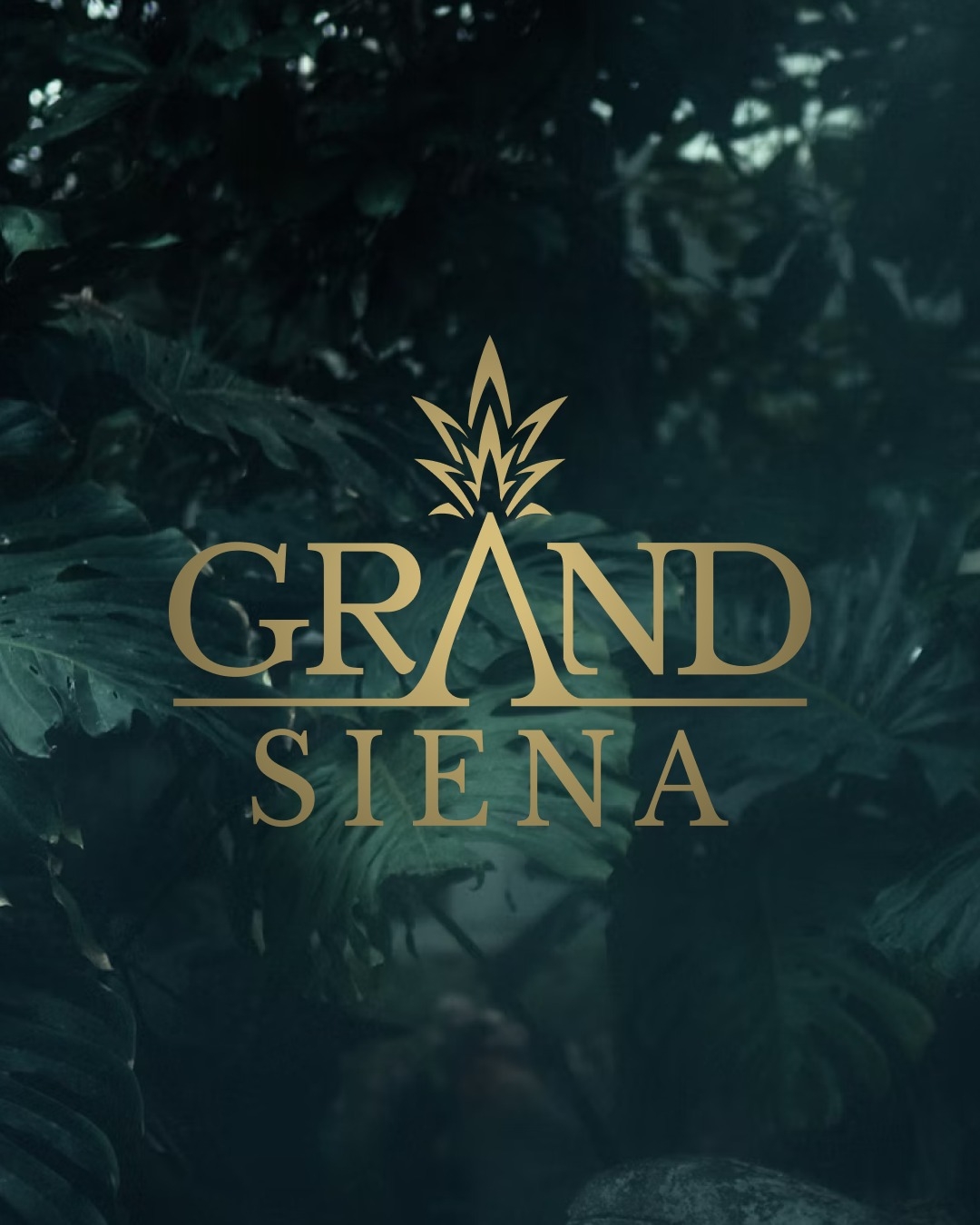 Grand Siena