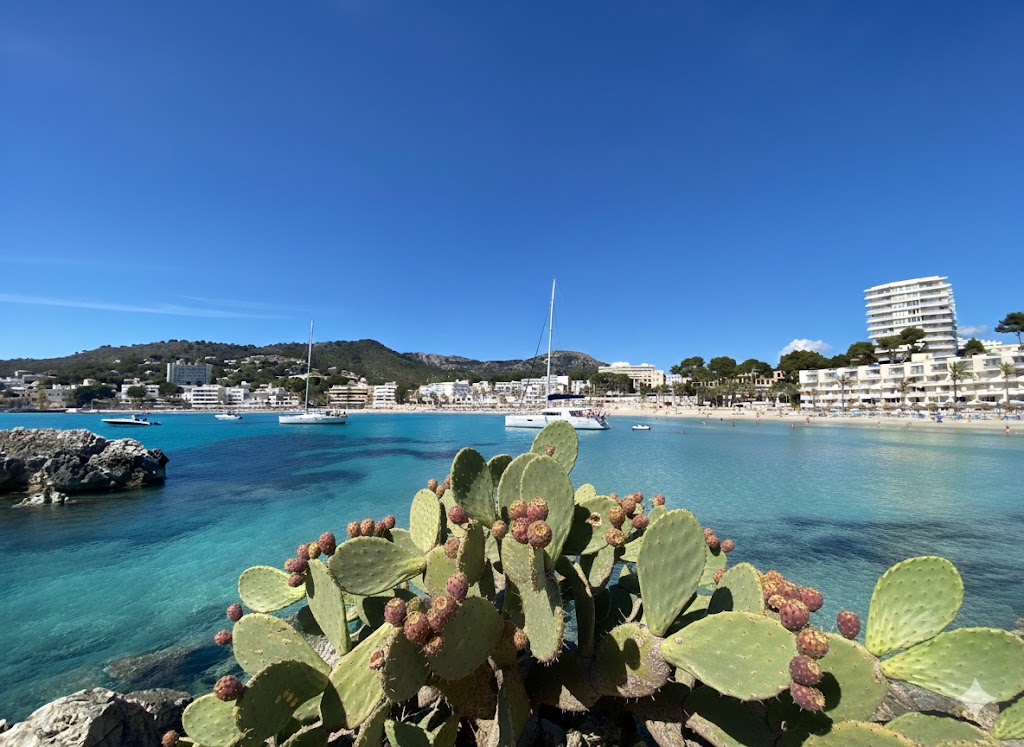 Platja de Peguera-Palmira