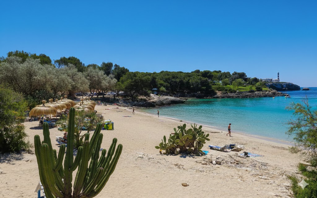 S'Arenal de Portocolom