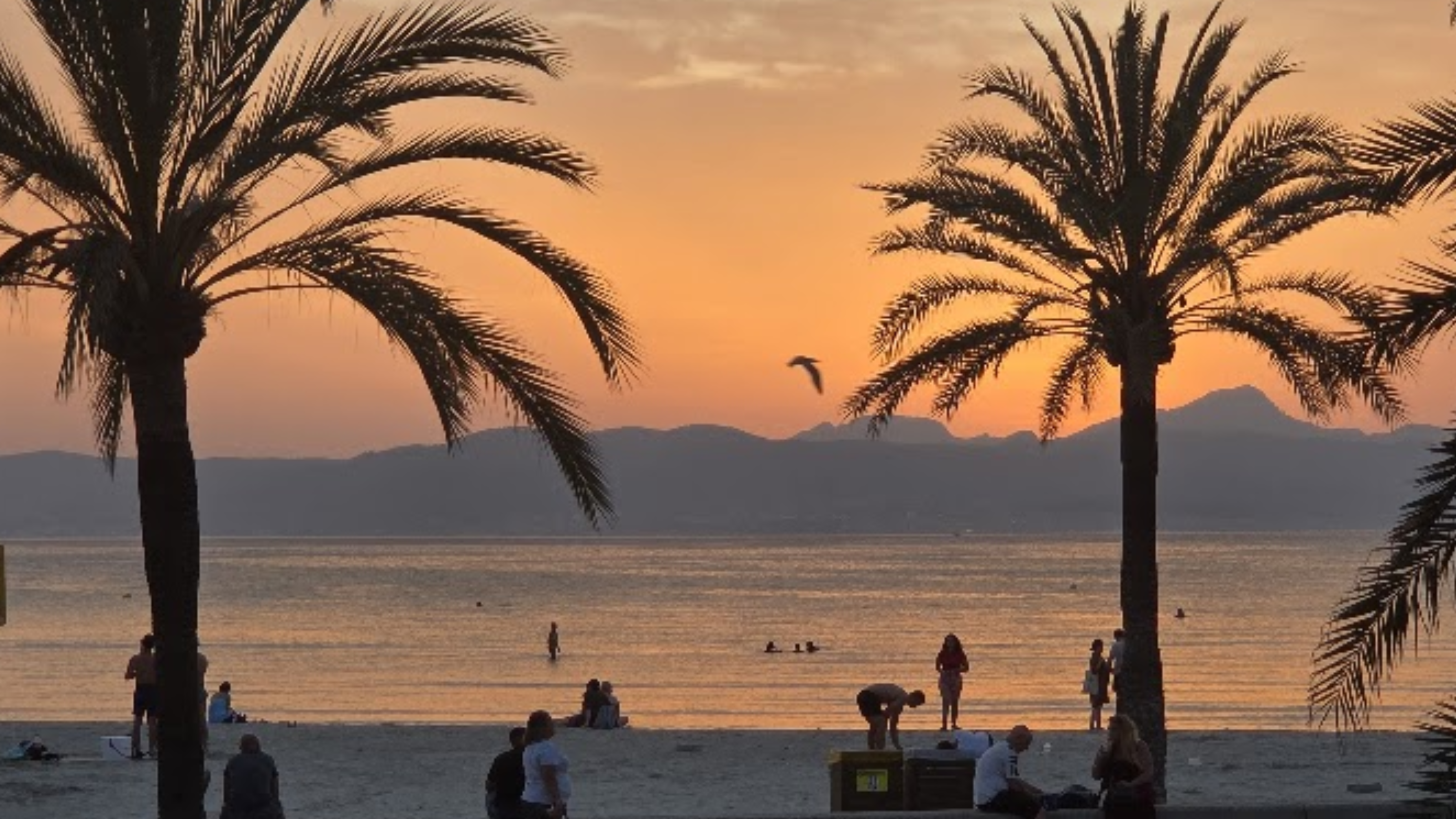 Where to Watch the Sunset in Mallorca: Top Spots for Stunning Mediterranean Views